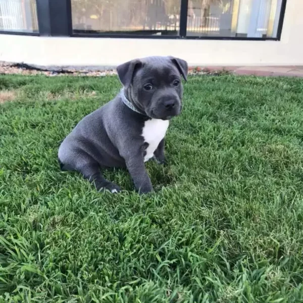 LUNA