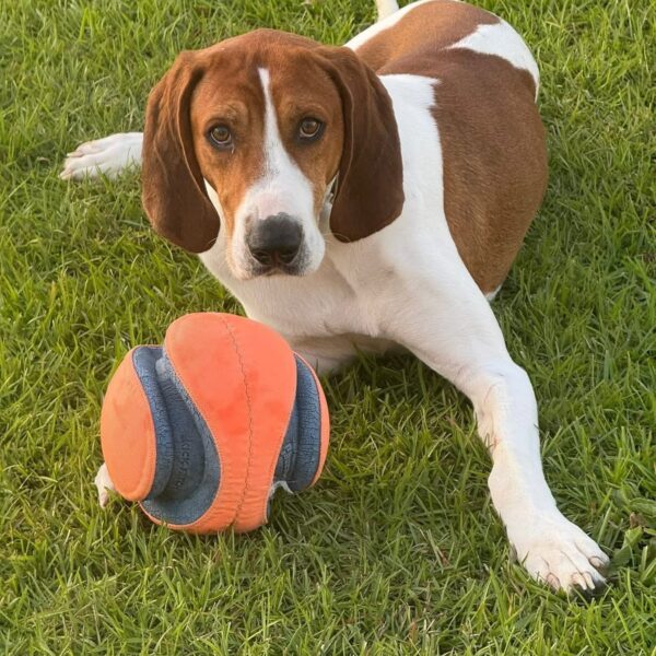Gunner